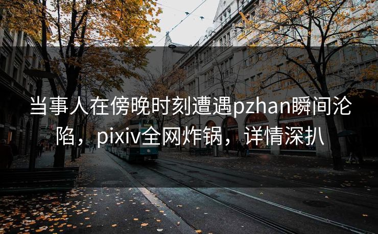 当事人在傍晚时刻遭遇pzhan瞬间沦陷，pixiv全网炸锅，详情深扒