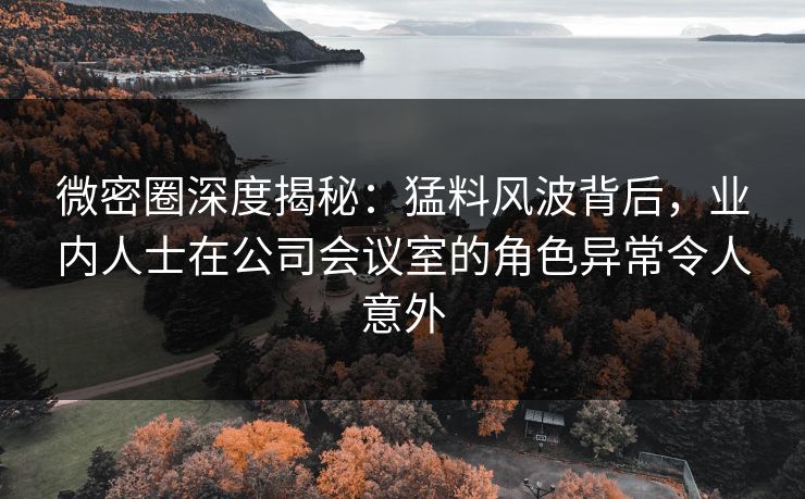 微密圈深度揭秘：猛料风波背后，业内人士在公司会议室的角色异常令人意外